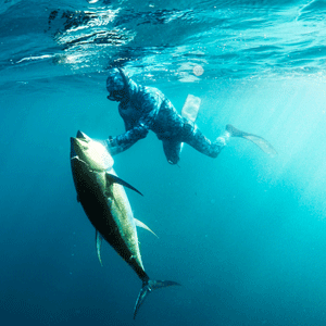 RIFFE Team Spearfisherman and Freediver SEBASTIAN MELANI – RIFFE