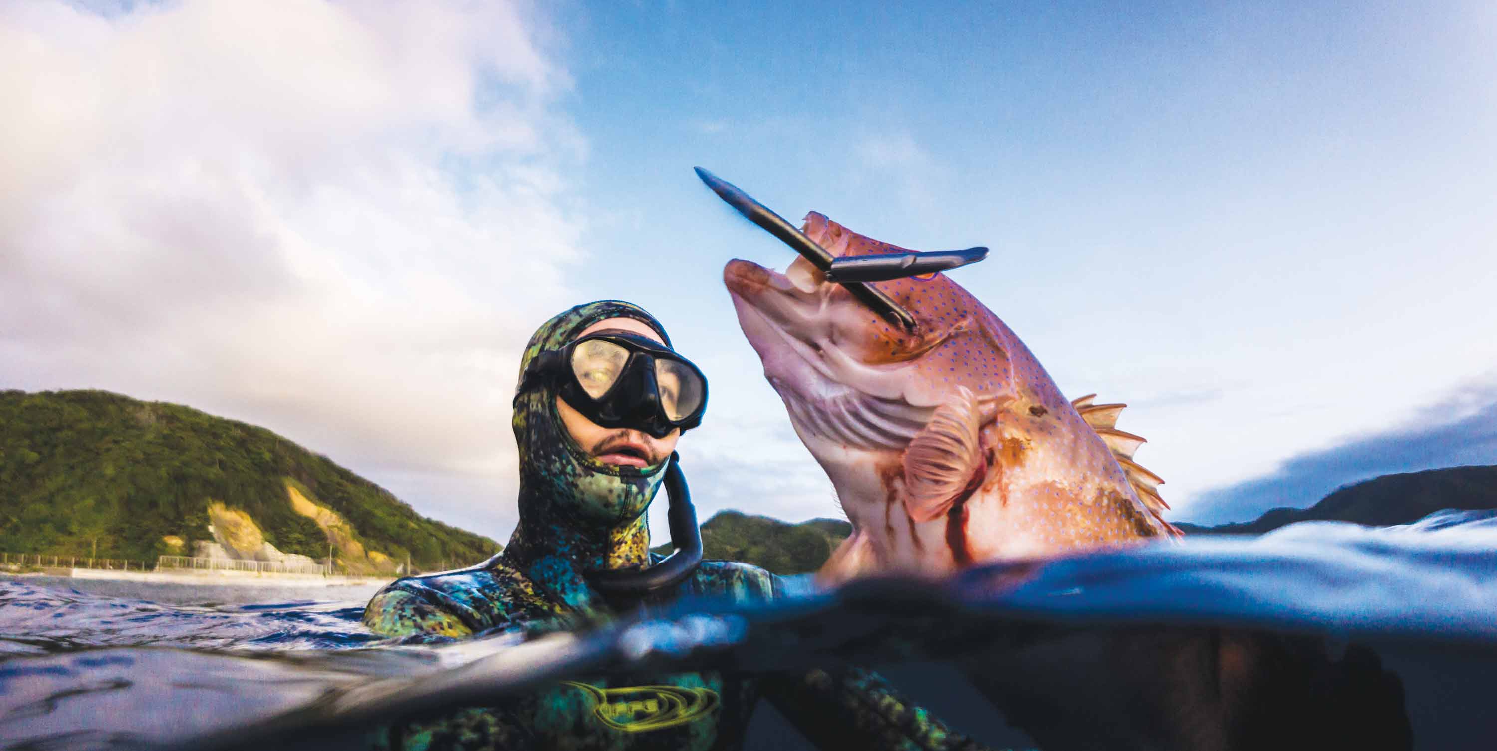 Euroshafts – RIFFE Web Store