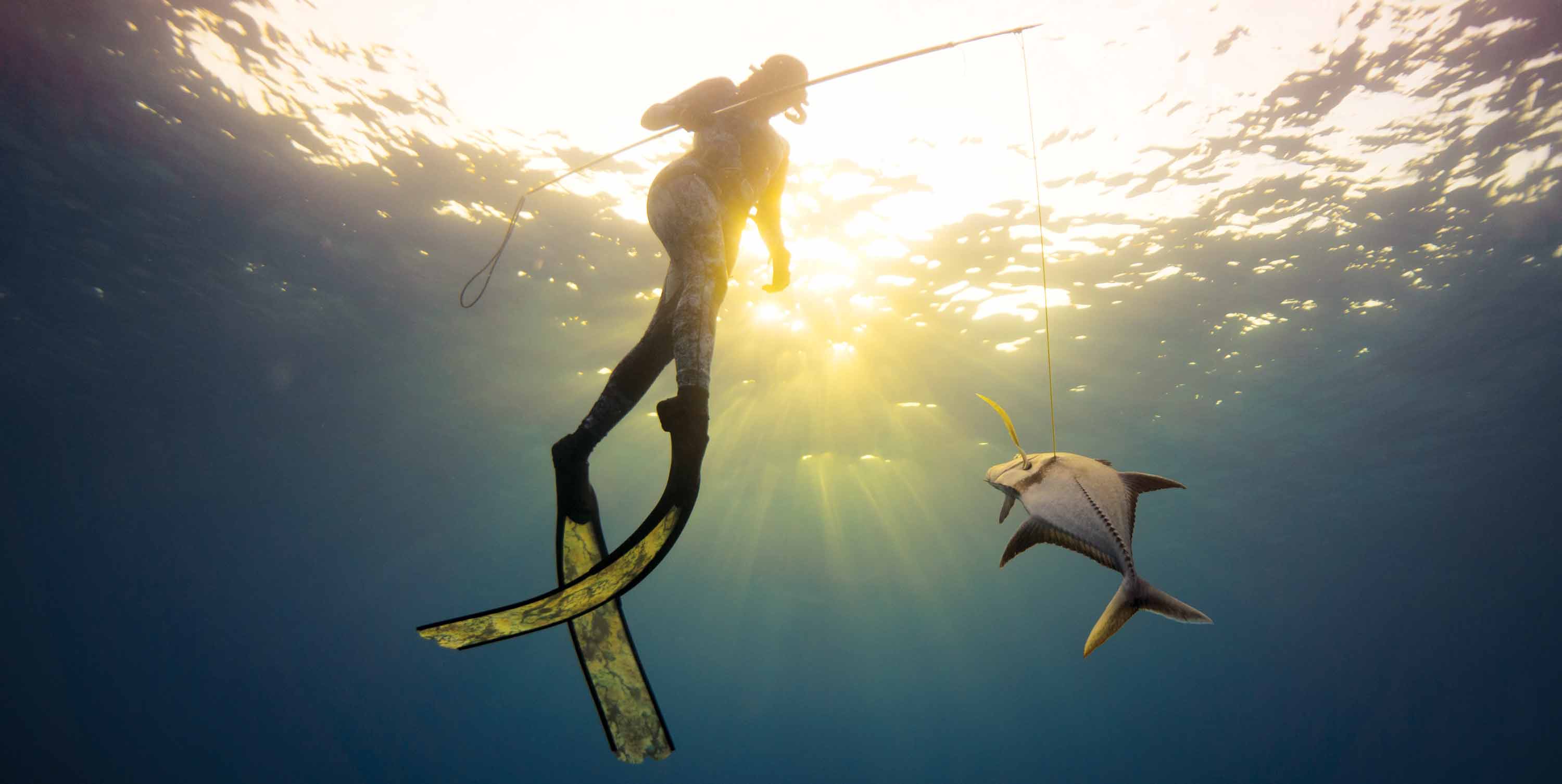 Spearfishing For Beginners: Pole Spear Basics - Adreno - Ocean