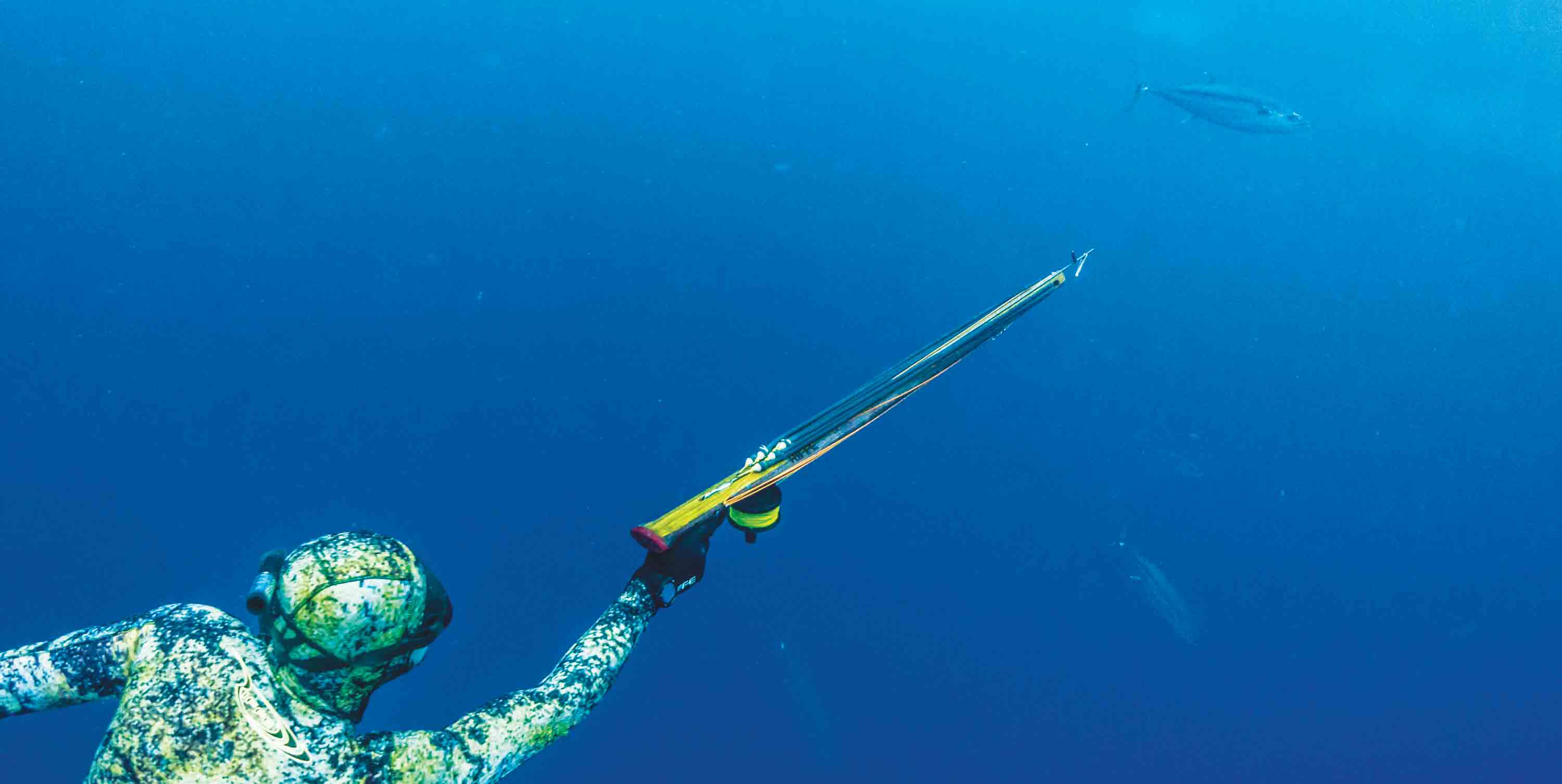 Spearfishing Speargun Reels Spear Gun Reel Horizontal Reel Fishing Wire  Reel replacement for Spearfishing