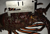 Lobstrosity Lobster Gauge (California)