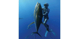 Ryder Devoe spearfishing in the RIFFE Naida mask freediving gear