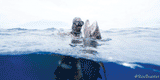 John Dornellas wearing the RIFFE Nekton low volume mask spearfishing freediving