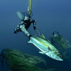 RYAN MOORE – RIFFE Web Store