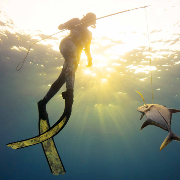 best spear fishing poles Hawaiian Sling 7ft Aluminum Pole Spear 3 Prong Sling Spear Fishing Equipment Snorkeling Scuba Diving Gear Polespears Harpoon for Fishing Kayak, Spearfishing, Freediving (Black) : Sports & Outdoors quality fiberglass Hawaiian Sling Fishing Spear 7ft