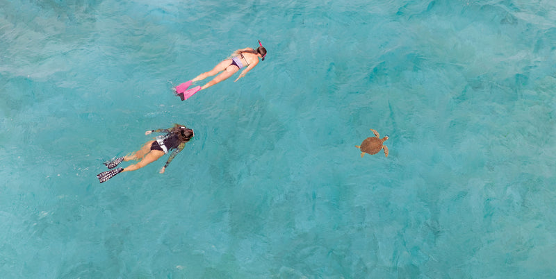 Kicks Rubber Swim Fins - Pitaya