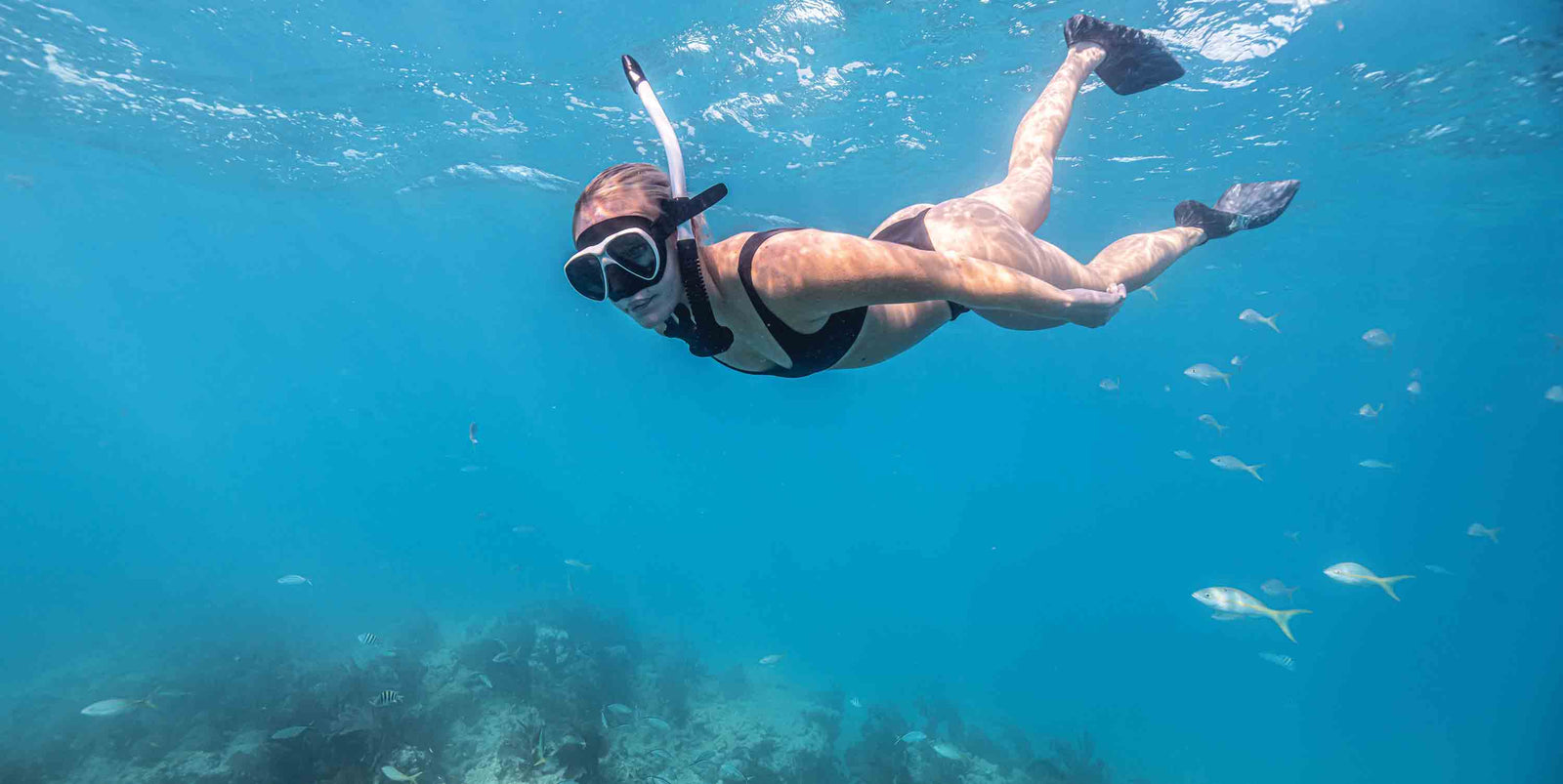 Riffe Stable Snorkel - Body Replacement