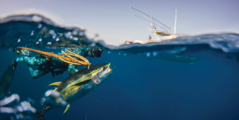 Paulo Afonso Euro Modular tuna spearfishing
