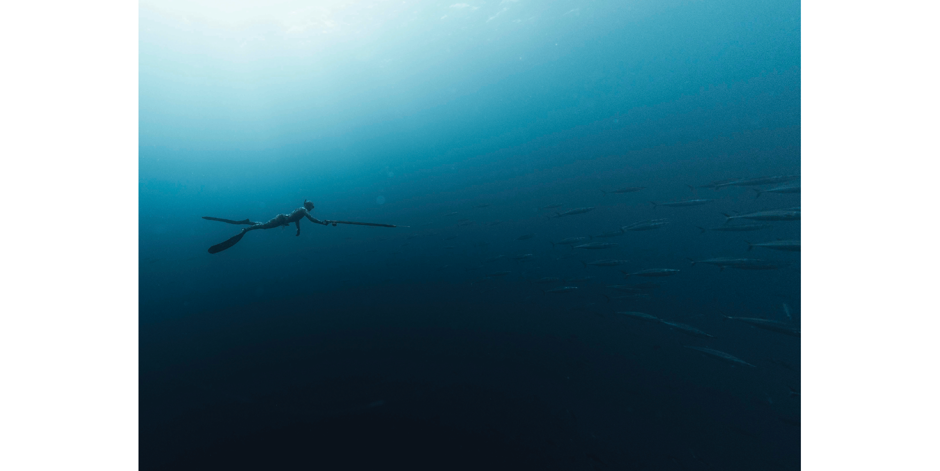 RIFFE by DiveR Digitek© Composite Carbon Fiber Fin Blades MEDIUM