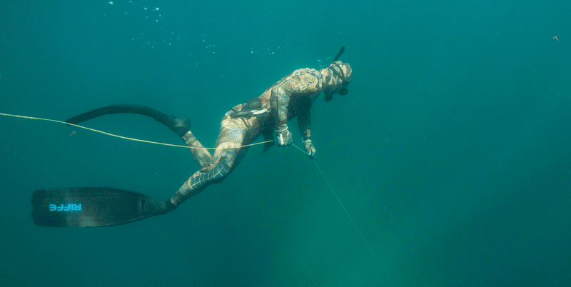 Freediving Fin, Spearfishing Fin
