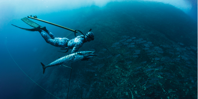 Sebastian Melani Euro Modular wahoo spearfishing